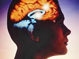 ������������ ��������� ��������� ���������� ���-������� ����� ���� ������ ������������ �����������