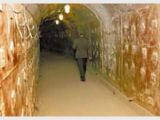 ��� �������� ��������� ���������� �������?