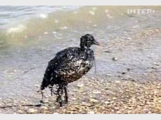 � ���������� ������� �������������� ��������-������������ ������