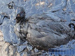 6 ����� ����� ��������� ����� ���������� ���������������