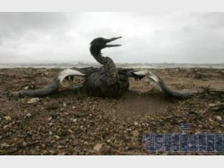 �� ������� �������� ������������� 144 ���������� ������