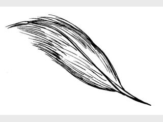 �������� �� �������� ������� � ������, �� ������ ������ ���