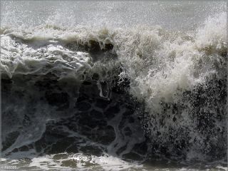 � ����� ��������� ��������� ��������������. ����� ��������� �������� � �������� ����