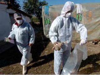 � ����� ��������� ���� 