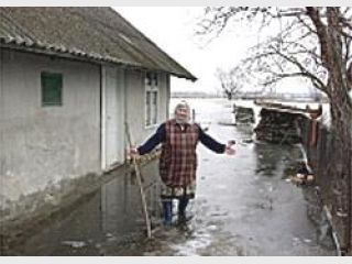 ���� ����� ����� �����������