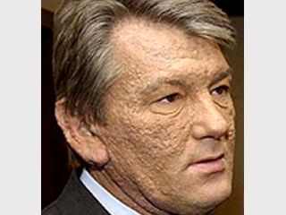 ���� ����� ������