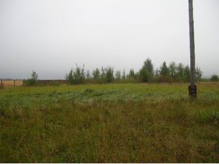 �������� �������� ������������� �����