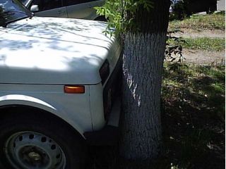 ����-���� �������, ��� � � ������ ����� �� ���� ��� ������