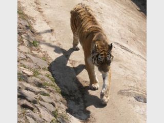 � �������� �������� ��������� ����, ������ � ������ ������