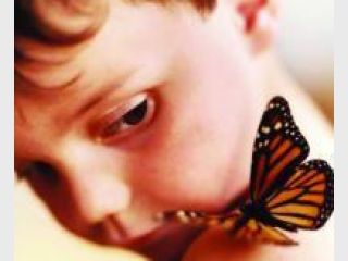 ������������ ����. �����������