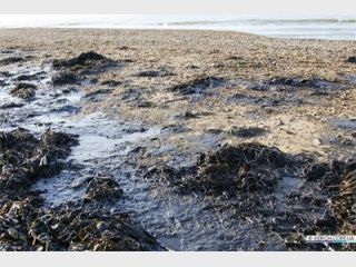 ���� ������� $400 ���. �� ���������� ������ �� ����������� �������