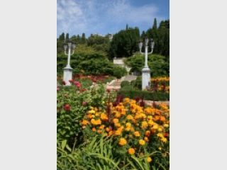 � ����� ���������� ��������� ���� ������ ����������� ��� �� 