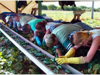 ���: ��������� ���������� � ������� �� ��������