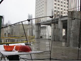 ���� ������ ����� ��� ������������ ����� ��������