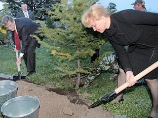 ���������� �������� ������� ����� ������