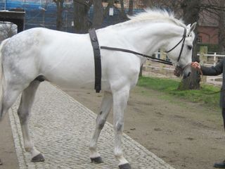 �������������� ��������� ��������� � ������� �� ������