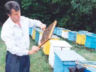 ��� ����� ������ ��������� ���������: ������� �����