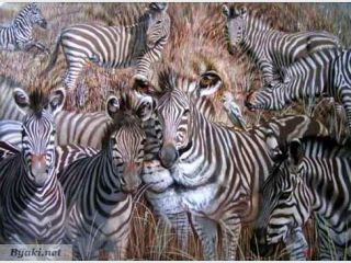 �������� ��������, ����� ��������� ��������� ��������