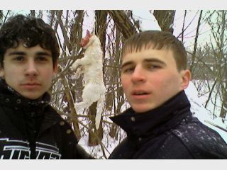 ������� ����������� ��������: 