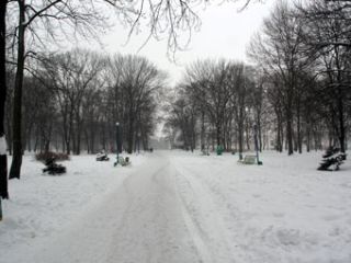 ����������� �������� �������� ��������� ��������� ������ ���