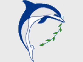 ������� ������������ �������������� � ���������� ������������ � ������� ������ ��������� ����