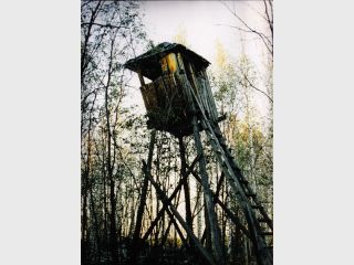 ��������� �������� �������� ��������� � ������������ ����������