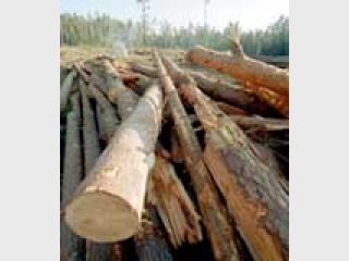 ������ �������� �������� ���������������� �������� ������� ���������