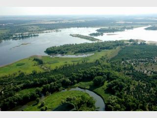 � ������������� ������������� �������� �����