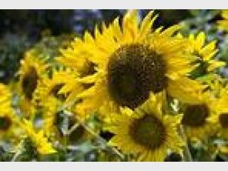 ������������� ������������� ����� ������ ������ �������� ������������ ��������