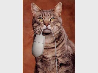 ��������� �� ����� ���������� ������ ������ ���������� ������������