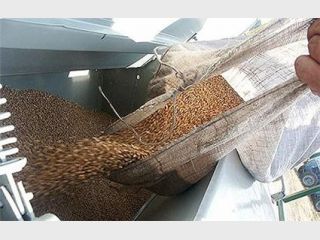 � ����� �����������, ��� ����� � ���������� ����� �� ������� ������ ��� �� �����, ��� � ���� � �����