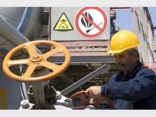 ���� �� ��� ��� ������ �������� �����