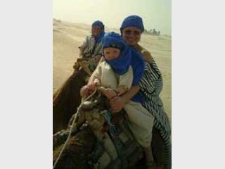 ������ ���������: 