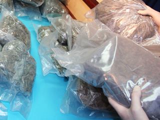 �������� ��� ������ � �������������: ���������� ������� ������� � �������