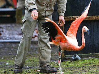 �� ������ �������� ���������� ������� �������� � �������