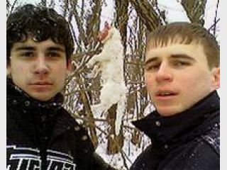 ����� ������: 