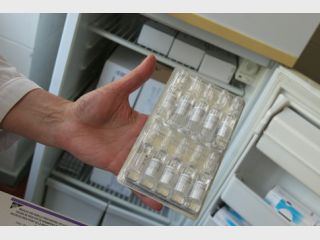 �� �������� ���������� ��� 12 �������