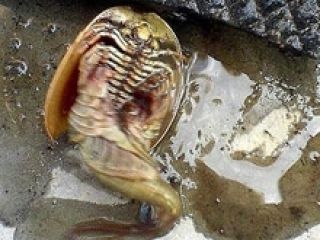 � �������� ������� ����� ���������� ��������!