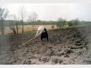 ������� ��� ������� ������� �������� ���� � ������������ �������� ������������������ �������