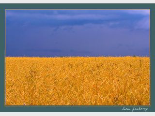 �� ������� ����� ������������ ������ ������ ��������