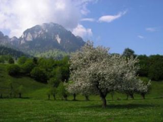 ������� �������� ������������� � ������ �������� ��� �� � ����������