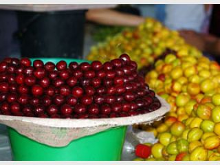 ���� ������� ������ ��� ��������� �������