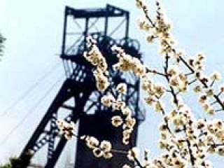 ��������� �������� ��������� �������� ������������ ��������� � ������� �� �����