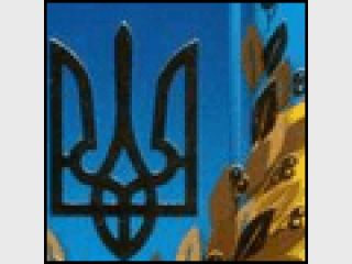 ���� �������� �������������, ������ ���������� ���� � �����