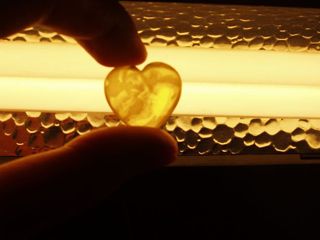 � ��������� � ��������� ���. ������ ����� ���� ���������� ������ ������