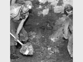 ������� ������: ������ ��������� ����������� �� ������ �� 80 ���������, ������ �� ������