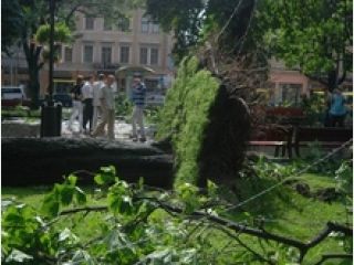 �� ��������� ������� �������� ������������� 157 ���������� �������