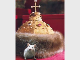 ��������� ������ � ������������ ������������