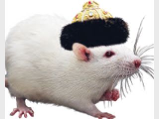 ������: ������� ��� ��������