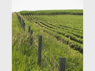 ��������� ����� 